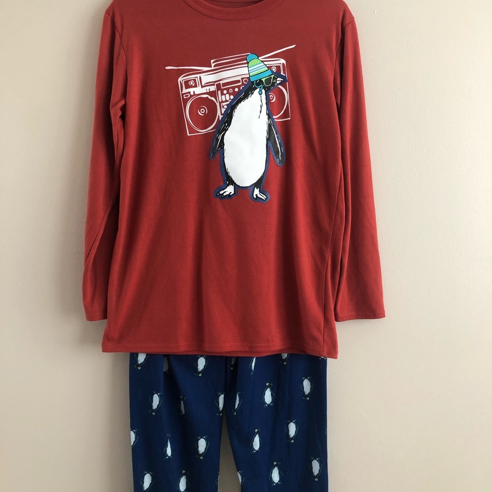 Boys Size Large 2pc Pajamas